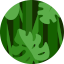 Jungle slots